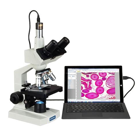 microscopio digital-4